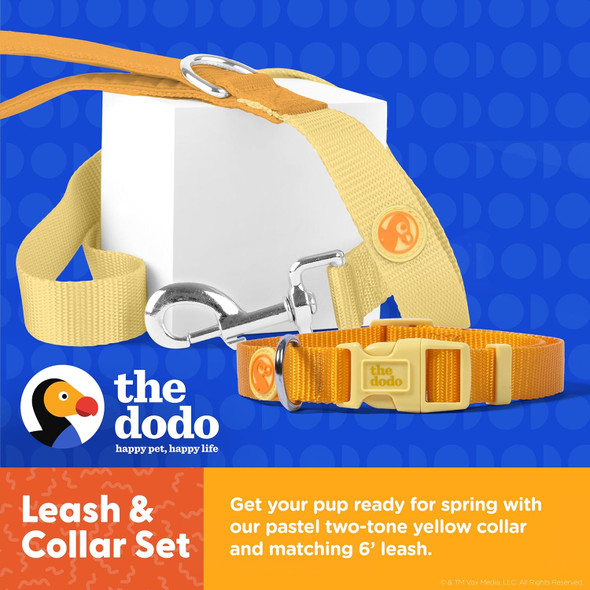 The Dodo All Nylon Yellow Collar And Leash Set - Medium Matching Cute Leash And Collar Set Waterproof Dog Leash And Collar Set, Perfect For Beach Day Or Trips To The Lake