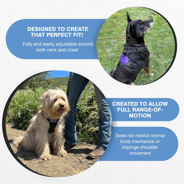 The North Star Dog Harness - Comfortable, Fully Adjustable, Designed To Reduce Pulling, Escape Resistant, Durable, Fastens Easily And Securely. (Grey, X-Small)