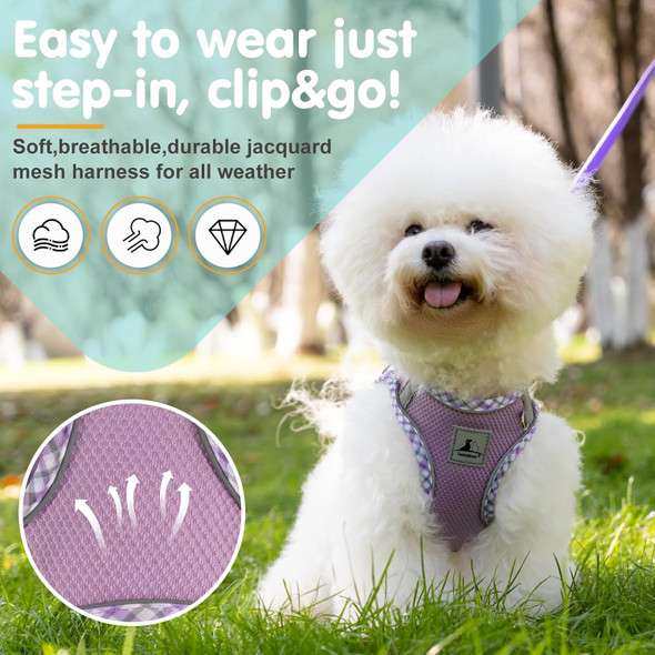 Dog Harness And Leash Set, No Pull Pet Harness For Small Dogs Easy Walking,Soft Breathable Small Dog Harness,Adjustable Reflective Step In Vest Harness For Puppy,Kitten, Cats