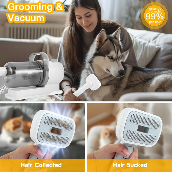 Dog Grooming Kit, Pet Grooming Vacuum & Dog Clippers, 6 In 1 Pet Grooming Vacuum With 5 Professional Grooming Shedding Tools For Dogs Cats