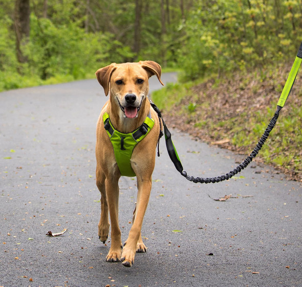 Dog Harness For Medium & Large Breeds, Easy On Easy Off With A No Pull Front Chest Clip, Walk, Run & Hike With Confidence, Stay Safe With Bright Reflective Stitching (Large/X-Large, Green)