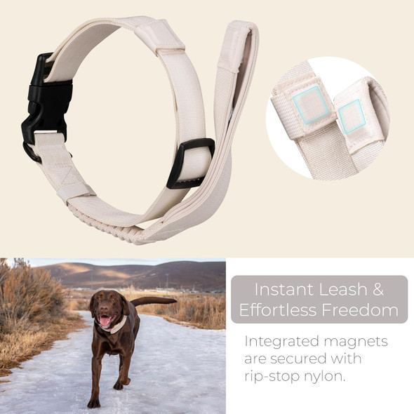 Tug Grab Collar Integrated Traffic Leash Magnetically Attached For Quick Control (Xl/Cream)