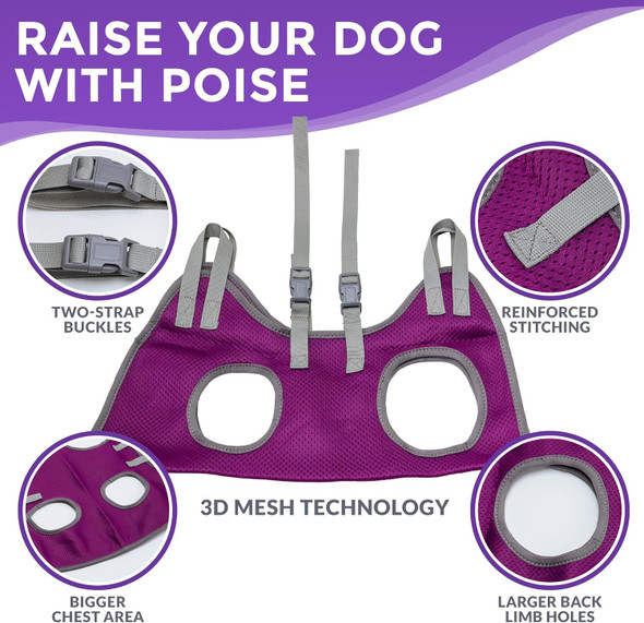Dog Grooming Hammock - Pet Grooming Hammock With Nail Clippers For Dogs, Nail File, And Dog Bath Brush - Dog Hammock For Grooming With Strong Center Straps For Extra Security (M, Purple)