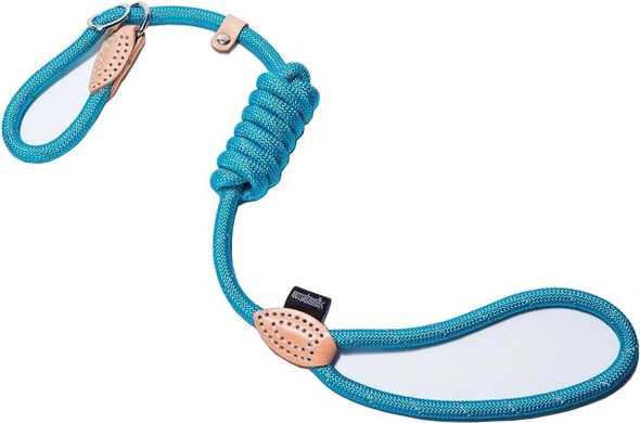 Puppy Pet Cat Dog Leash Collar Basic Accessories Reflective Retractable Dog Rope Pet Traction Belt 5Ft(Medium 0.39In, 24-66Lb, Blue)