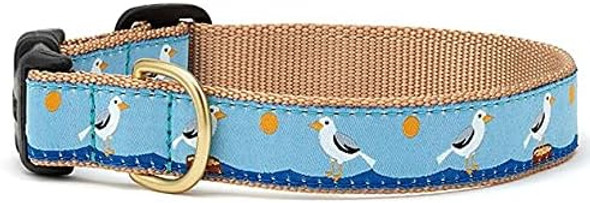 Up Country Gull Watch Dog Collar, Large (15 To 21 Inches) 1 Inch Wide Width