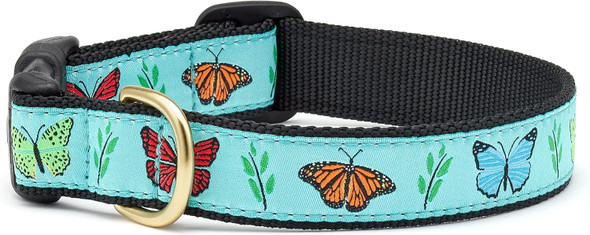 Up Country Butterfly Effect Dog Collar, Large (15 To 21 Inches) 1 Inch Wide Width
