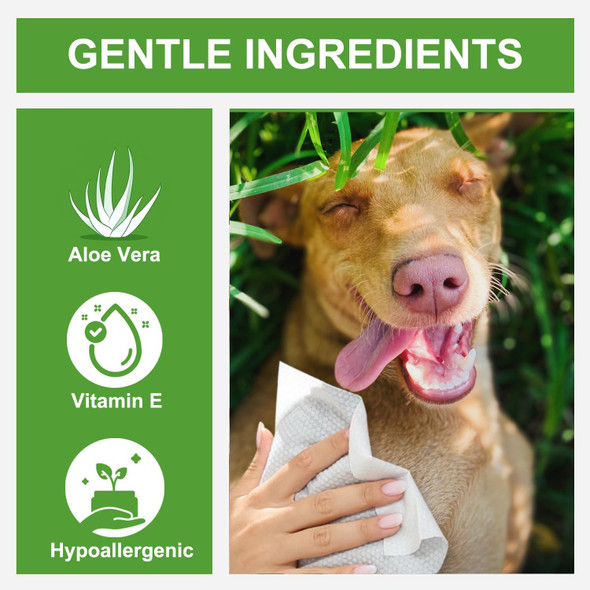 Dog Wipes Cleaning Deodorizing Pet Wipes For Dogs Cats Big Thick Large Multipurpose Grooming Hypoallergenic All Puppy Wipes Dog Wipes Quick Bath For Paw And Butt Face Body 400 Count