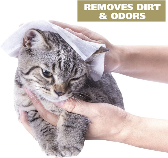 Wahl Usa Cat Refresh Cleaning Wipes With Oatmeal Formula For Refreshing And Cleaning Dirty Cats - 50 Count - 820017-500