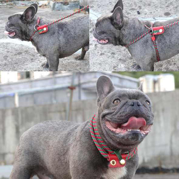 Slip Lead Dog Leash,Dog Harness And Leash Set For Walking - Head Collar With Rope Leash For Pulling - Diy Dog Scarf