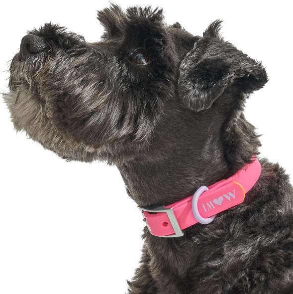Wild One, Limited Edition, Designer Collection, Pink Dog Collar, Easy-Clean, All Weather Flex-Poly Strap With Metal, Durable, Dirt And Odor Resistant, Large