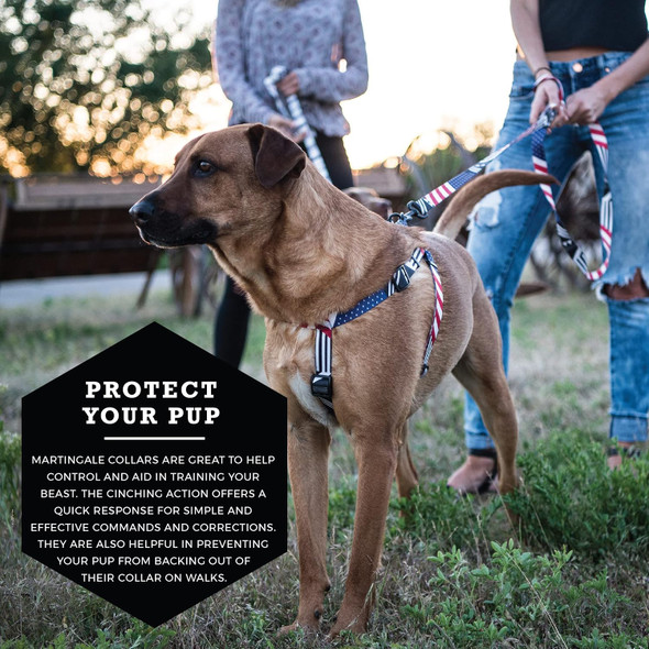 Wolfgang Premium Martingale Dog Collar For Small Medium Large Dogs, Made In Usa, Pledgeallegiance Print, Small (5/8 Inch X 10-12 Inch)