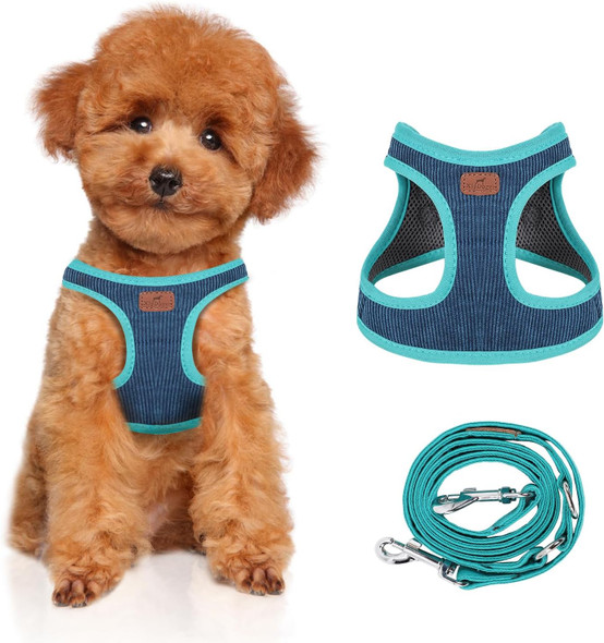 Dog Harness With Multifunction Dog Leash,No Pull Reflective Step-In Harness For Soft Adjustable No Choke Escape Proof,Easy Walk Dog Harness For Small Dogs (Blue&Green, S)