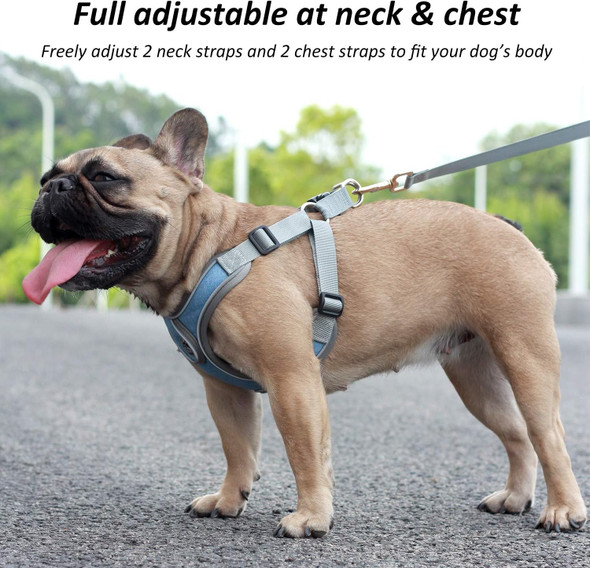 Dog Harness With Leash Set, Adjustable Reflective Easy Control Medium Large Dog Harness With A Heavy Duty 5Ft Dog Leash (Xs ,Weight: 4.4-8.8Lb, Chest: 11.0-16.5)