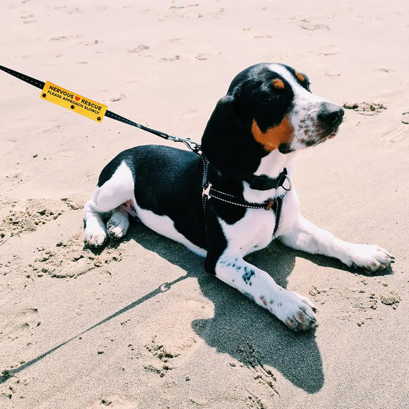 Nervous Rescue Please Approach Slowly Yellow Sleeve - Funny Dog Leash Wrap For Dogs