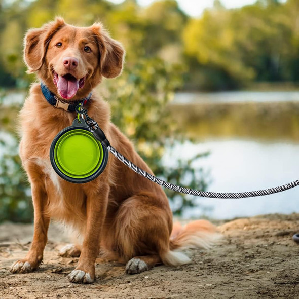 5/6/10 Ft Strong Dog Leash - Comfortable Padded Handle - Pet Dog Leash For Small Medium And Large Dogs With Collapsible Pet Bowl And Dog Garbage Bags…