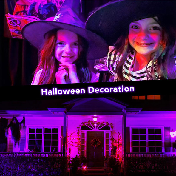 Halloween LED Black Light: 15W Spot Lights Outdoor UV Spotlight for Halloween Christmas 2 PacK 110V Plug-in Blacklight with IP65 Waterproof for Party Body Paint Fluorescent Poster Neon Glow