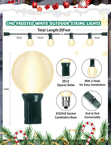 25FT G40 Frosted Christmas Lights,Globe Christmas Lights with 27 Frosted White Bulbs,Outdoor String Lights for Outside Indoor Garden Wedding Pergola Backyard Patio Xmas Tree Decor,Green Wire