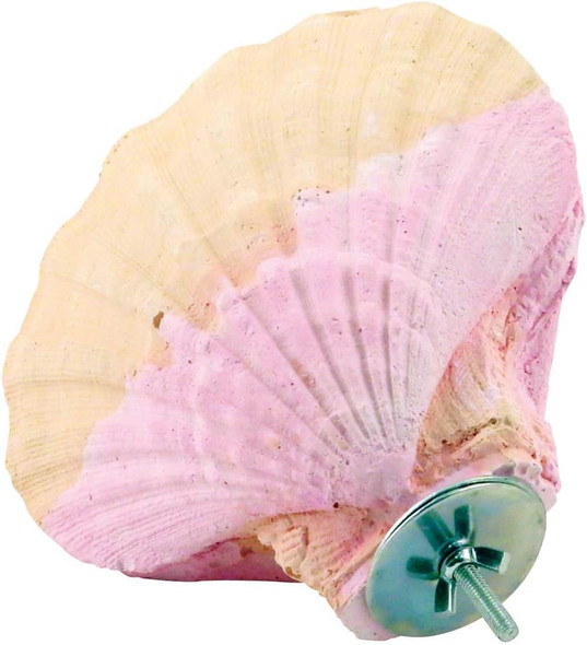 Edible Calcium Clam Parrot Perch Large African Greys
