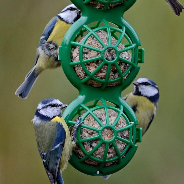 Fat Balls For Wild Birds - Jacobi Jayne® Chunky Dumplings™ Premium Suet Balls - Pack Of 6 X 100G - High Energy Fat Balls Wild Bird Food Feed To Attract Small Wild Birds Year Roundcd100-6