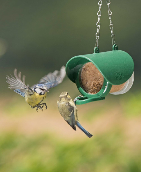 Hanging Flutter Butter Feeder For Garden And Wild Birds - Jacobi Jayne® Flutter Butter® Hanging Feeder For Jars Or Refill Pods - A Whole Way To Feed Garden Birdsfbf-2 Hanging Flutter Butter Feeder For Garden And Wild Birds - Jacobi Jayne® Flutter Butter® Hanging Feeder For Jars Or Refill Pods - A Whole Way To Feed Garden Birdsfbf-2