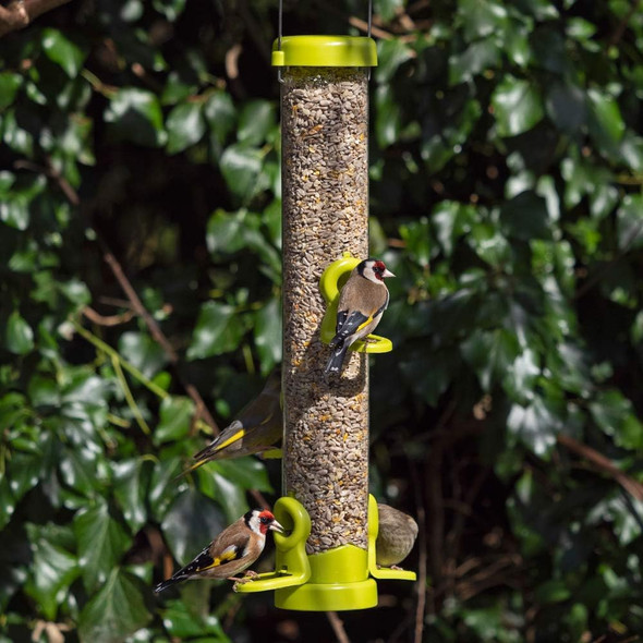 Jacobi Jayne Bird Feeder, Lime, Mediumflo-S2G Jacobi Jayne Bird Feeder, Lime, Mediumflo-S2G