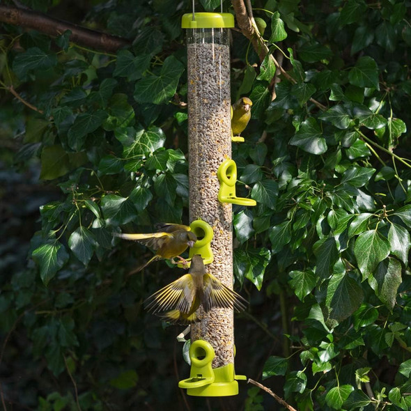 Jacobi Jayne Flo-S3G Bird Feeder, Lime, Largeflo-S3G Jacobi Jayne Flo-S3G Bird Feeder, Lime, Largeflo-S3G