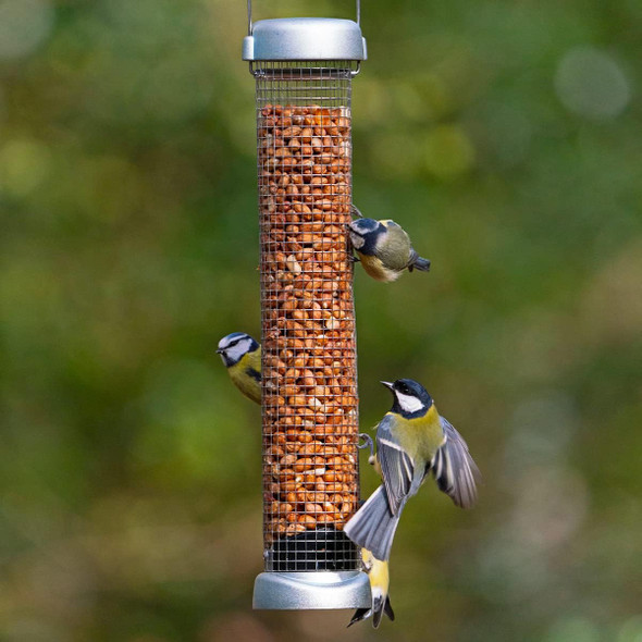 Jacobi Jayne Ring-Pull Click Medium Peanut Feeders, Zinc Birdrp3-P2Z Jacobi Jayne Ring-Pull Click Medium Peanut Feeders, Zinc Birdrp3-P2Z