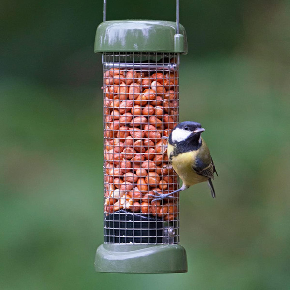 Jacobi Jayne Ring-Pull Click Small Peanut Feeder, Green Birdrp3-P1G Jacobi Jayne Ring-Pull Click Small Peanut Feeder, Green Birdrp3-P1G