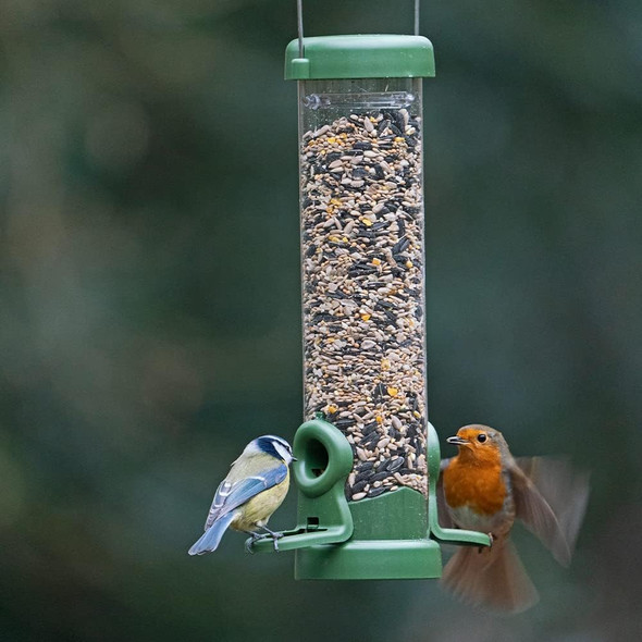 Jacobi Jayne® Flo™ Bird Feeder - Bird Feeders For Small Birds. Easy Clean Bird Seed Feeder. Won'T Clog Or Block. Flo™ Hanging Bird Feeder For Wild Bird Seed. 2 Year . Classic Green, Smallflo-S1C