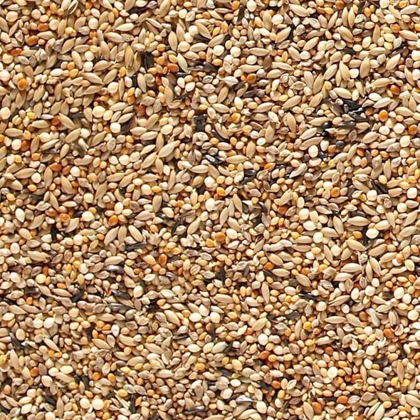 Johnston & Jeff Abz Seed For Finches, 20 Kg08Jjf1
