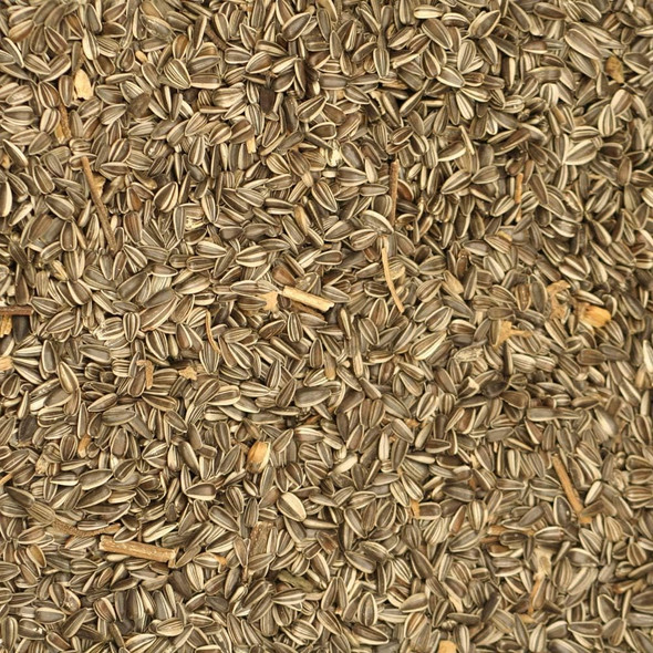Johnston & Jeff Medium Striped Sunflower Seed 10Kg - Wild Bird Seed Johnston & Jeff Medium Striped Sunflower Seed 10Kg - Wild Bird Seed