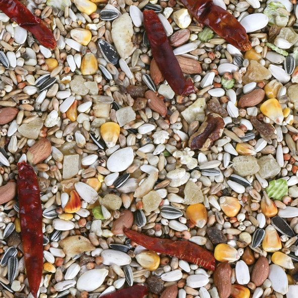 Northern Parrots African Grey Gourmet Low Sunflower Parrot Food 2.5Kg