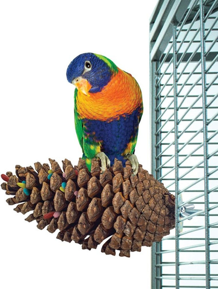 Pine Cone Perch And Party Fun Foraging Parrot Perch