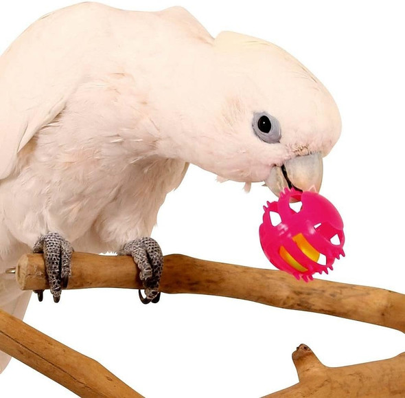 Roll And Ring Foot Toys For Parrots Pack Of 3