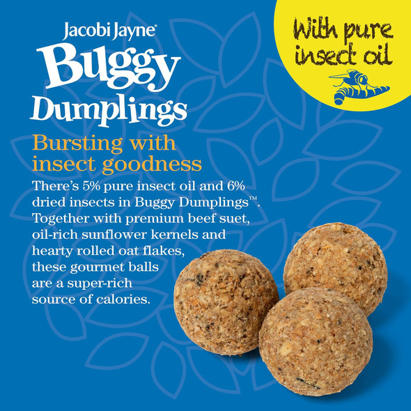 Suet Balls For Wild Birds - Jacobi Jayne® Buggy Dumplings™ Pack Of 6-100G Fat Balls For Wild Birds, High Energy Bird Food Fat Balls With Mealworms, Buggy Fat Suet Balls For Bird Feederbd100-48