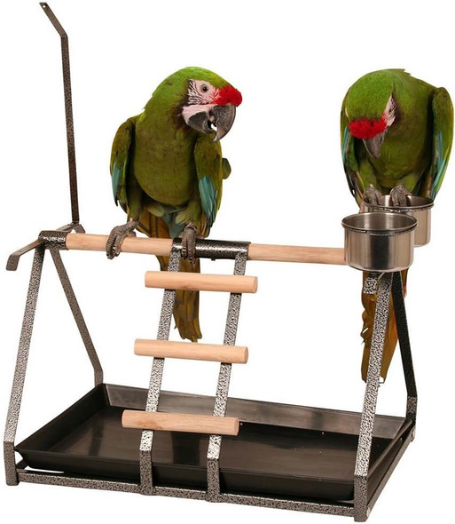 Tabletop Parrot Stand With Toy Hanger & Feeder Antique221102Np Tabletop Parrot Stand With Toy Hanger & Feeder Antique221102Np