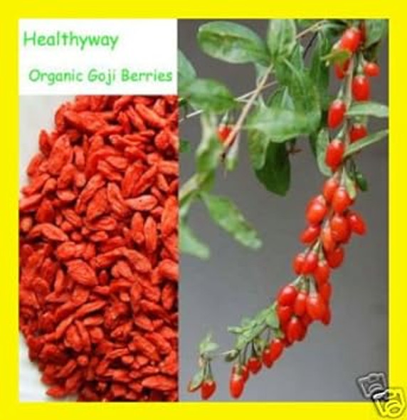 Nutritionsource Healthyway Organic Goji Berries Raw Superfood 1 Lb Wolfberry Nutritionsource Healthyway Organic Goji Berries Raw Superfood 1 Lb Wolfberry