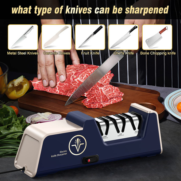Vidome Professional Electric Knife Sharpener With 100% Diamond Abrasives And Precision Angle Guides For Kitchen Straight Edge&Ceramic Knife Work Sharp 3-Stage Champagne Gold Afilador De Cuchillos Vidome Professional Electric Knife Sharpener With 100% Diamond Abrasives And Precision Angle Guides For Kitchen Straight Edge&Ceramic Knife Work Sharp 3-Stage Champagne Gold Afilador De Cuchillos