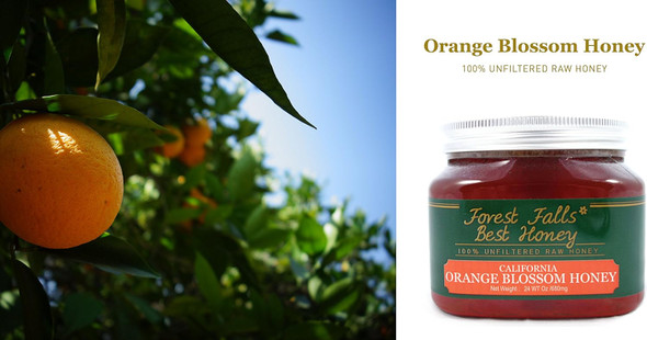Orange Blossom Honey