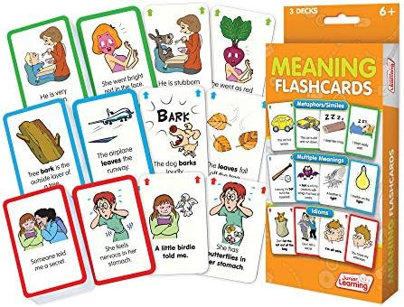 Junior Learning Junior Learning JL207 Meaning Flashcards Medium
B01AXAO4O4