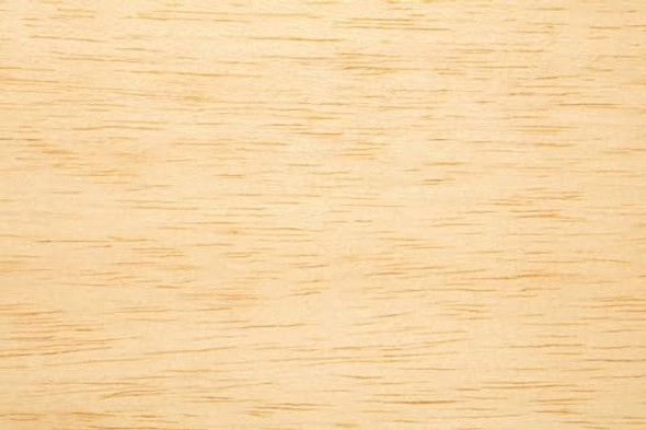 P-51 Mustang Balsa Wood Historical Ww2 Glider With 14 Inch Wingspan And Slingshot