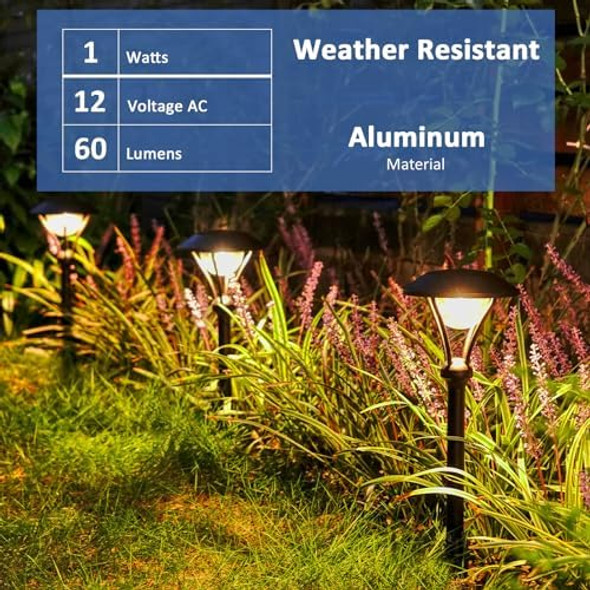 Low Voltage Pathway Lights 12V Ac Landscape Lighting Kit 6Pk Path Lights 1W Led Outdoor Hardwired 60 Lumen 3000K Warm White Walkway Lights With Connectors And Stakes Low Voltage Pathway Lights 12V Ac Landscape Lighting Kit 6Pk Path Lights 1W Led Outdoor Hardwired 60 Lumen 3000K Warm White Walkway Lights With Connectors And Stakes