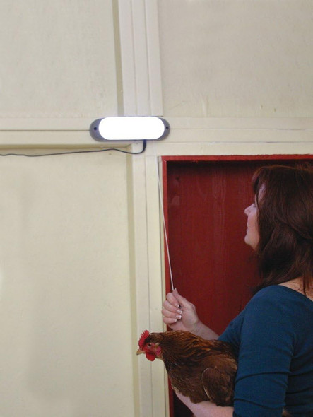 Designers Edge L-949 Rechargeable Solar Shed Lights With 10 Bright Led Bulbs And 16-Foot Extension Cord