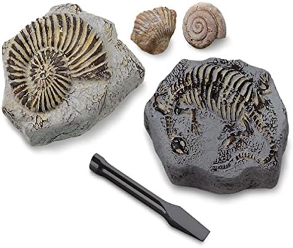 Discovery Kids Discovery #Mindblown Mini Fossil Dig Set, 2 Pack Excavation Kit, Interactive Archaeology Paleontology Experiment, Learn Science, Fun And Educational Stem Toy For Kids Ages 6 And Up Discovery Kids Discovery #Mindblown Mini Fossil Dig Set, 2 Pack Excavation Kit, Interactive Archaeology Paleontology Experiment, Learn Science, Fun And Educational Stem Toy For Kids Ages 6 And Up