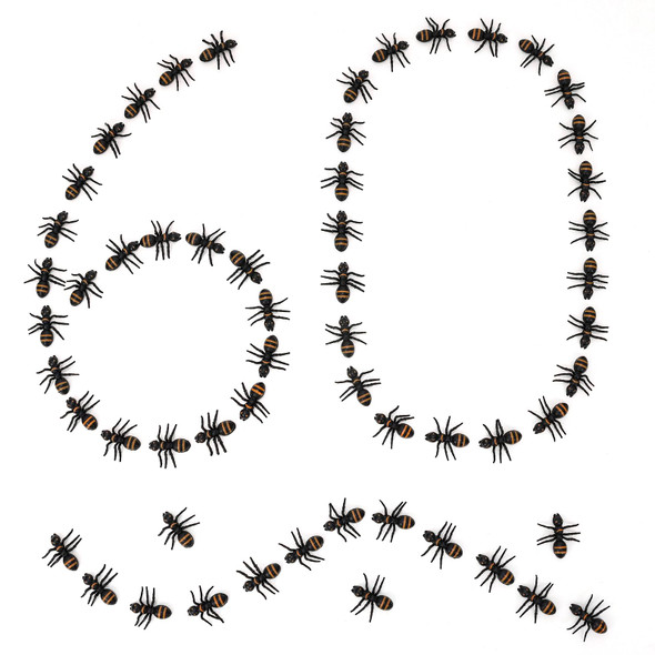Hfatmos 300 Pieces Realistic Ants, Prank Plastic Black Ants Joke Toys For Halloween Party Favors Decoration Supplies Hfatmos 300 Pieces Realistic Ants, Prank Plastic Black Ants Joke Toys For Halloween Party Favors Decoration Supplies