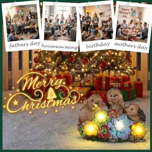 Jjalights 3 Hedgehog Solar Garden Statues With Succulent Animal Figurines Resin Hedgehog Decor Outdoor Statues Ideal Decoration For Lawn Patio Yard S For Men Women