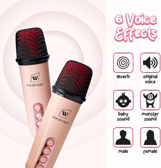 Winbridge Karaoke Machine for Kids AdultsPortable Bluetooth Speaker with Two Wireless MicrophoneMini Karaoke Machine with High Battery 4000mAh Christmas Birthday s for Girls Ages 4+ Year Rose