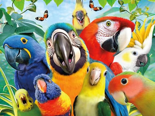 Ceaco - Selfies - Perfect Parrot - 500 Piece Jigsaw Puzzle