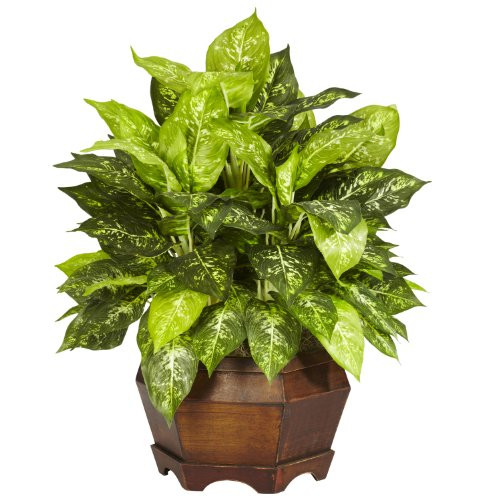 Nearly Natural Variegated Dieffenbachia With Large Hexagon Silk Plant