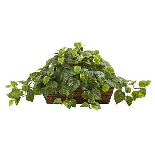 Nearly Natural Pothos With Ledge Basket, Green,34X18X15
